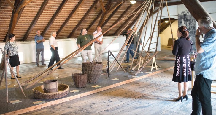 Chmelařské muzeum Žatec-expozice tyčových chmelnic.jpg